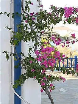 Ragoussis House Apartamento Logaras